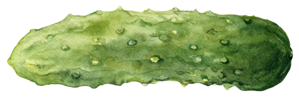water color pickle