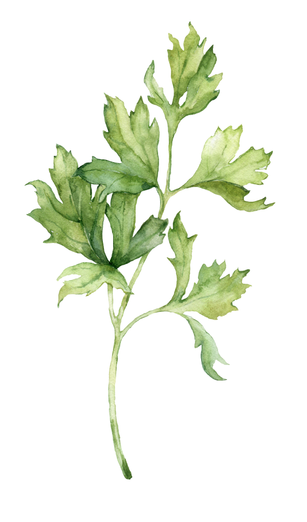 water color green plant/veggie