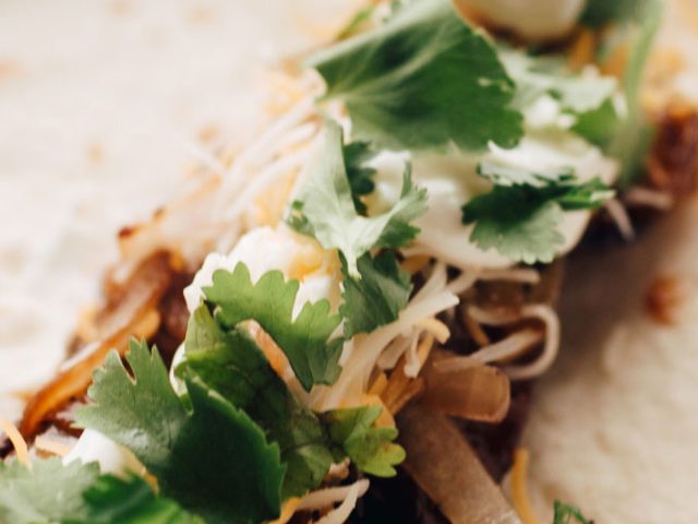 Sparky’s Spicy Brisket Street Tacos Recipe