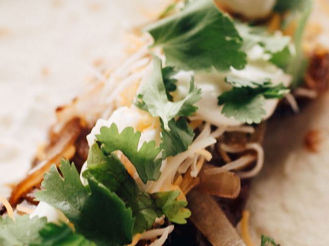 Sparky’s Spicy Brisket Street Tacos Recipe