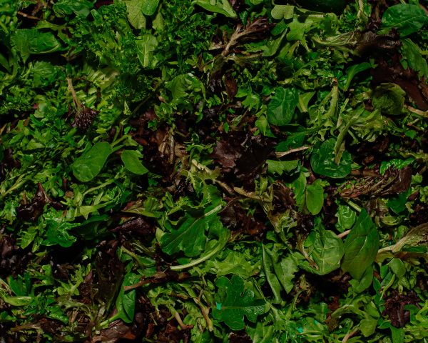 Fresh spinach salad that covers every inch of the frame