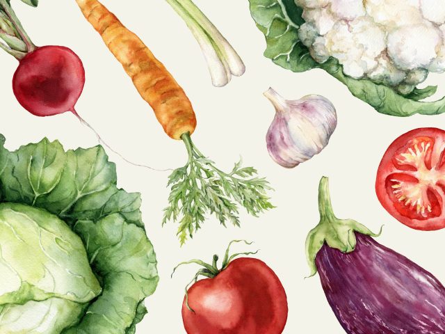 Print of water color vegetables- carrots, cauliflower, tomatoes, lettuce, onions, eggplant, and beets