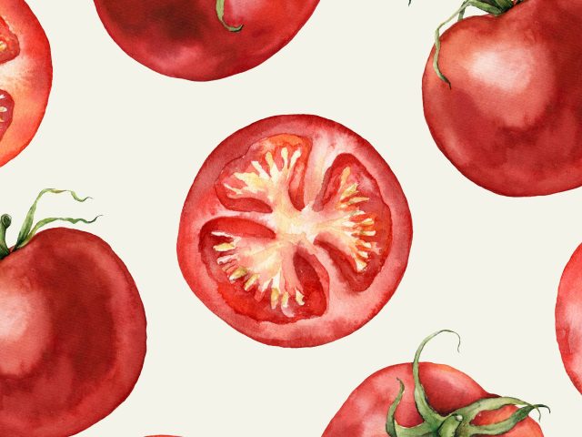 Wallpaper print of water color tomatoes