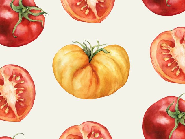 Print of water color tomatoes- whole and cross sectioned
