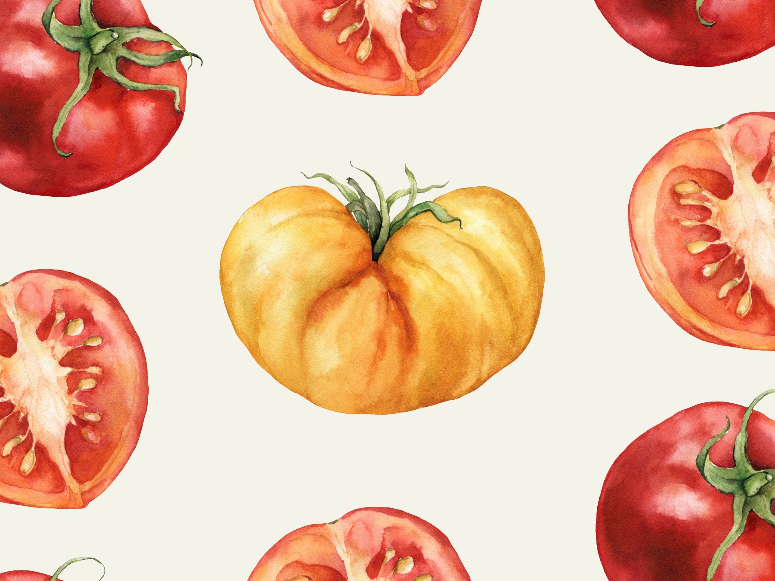 Print of water color tomatoes- whole and cross sectioned