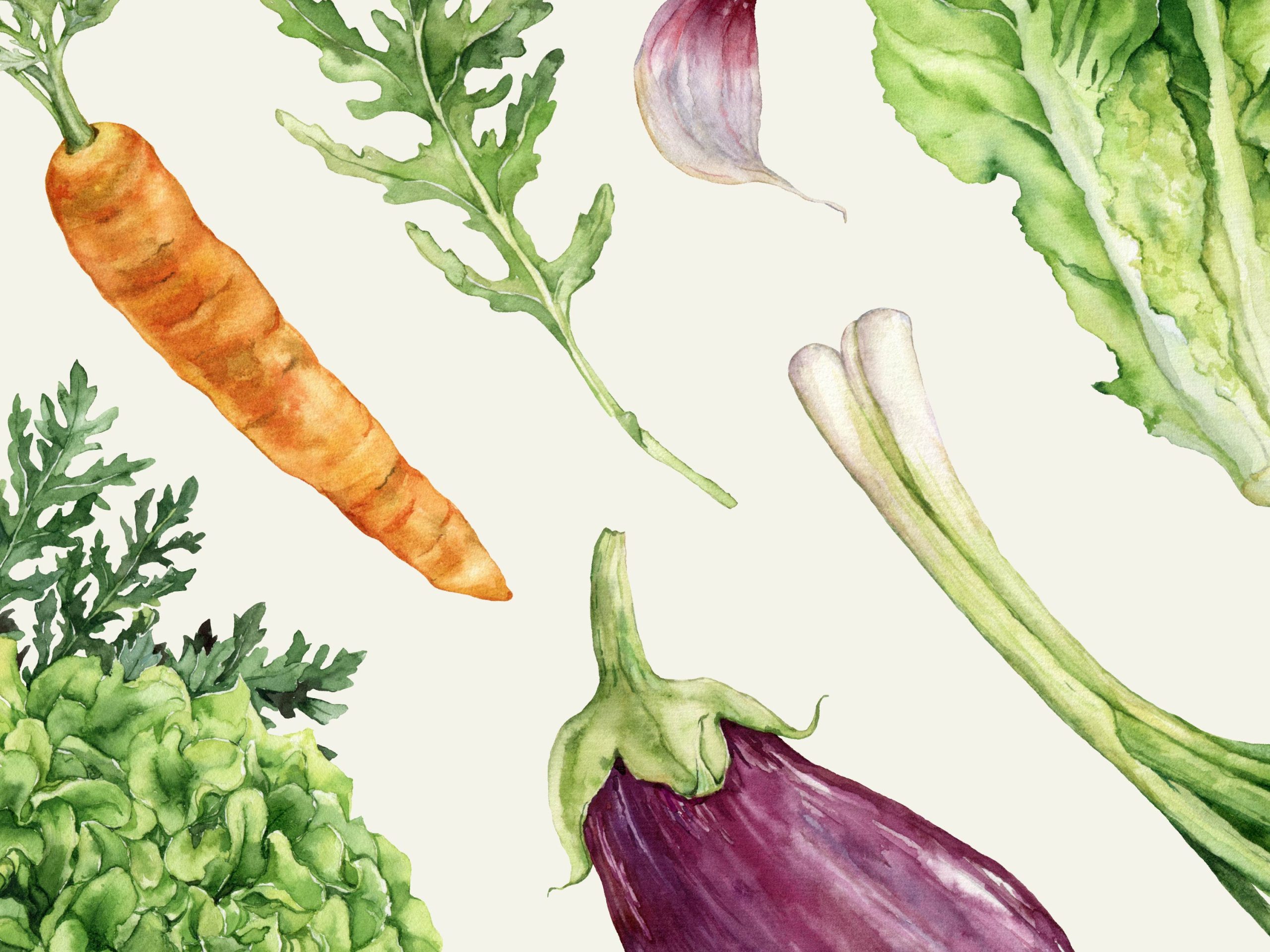 Print of water color vegetables- carrot, eggplant, and greens