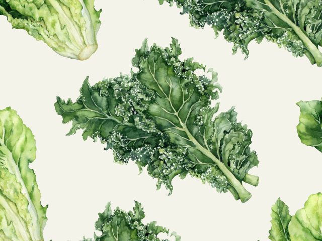 Wallpaper print of water color kale