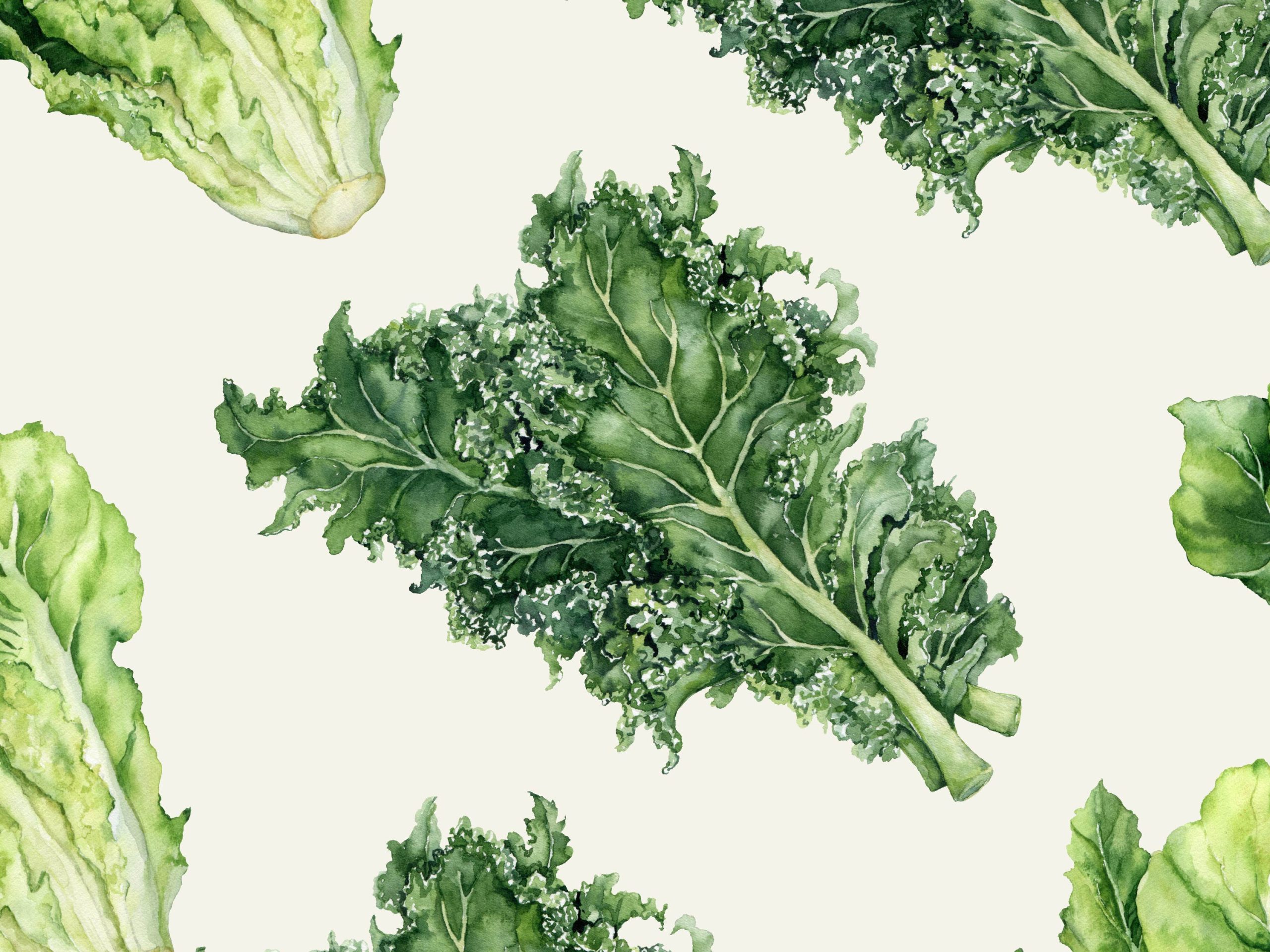 Wallpaper print of water color kale